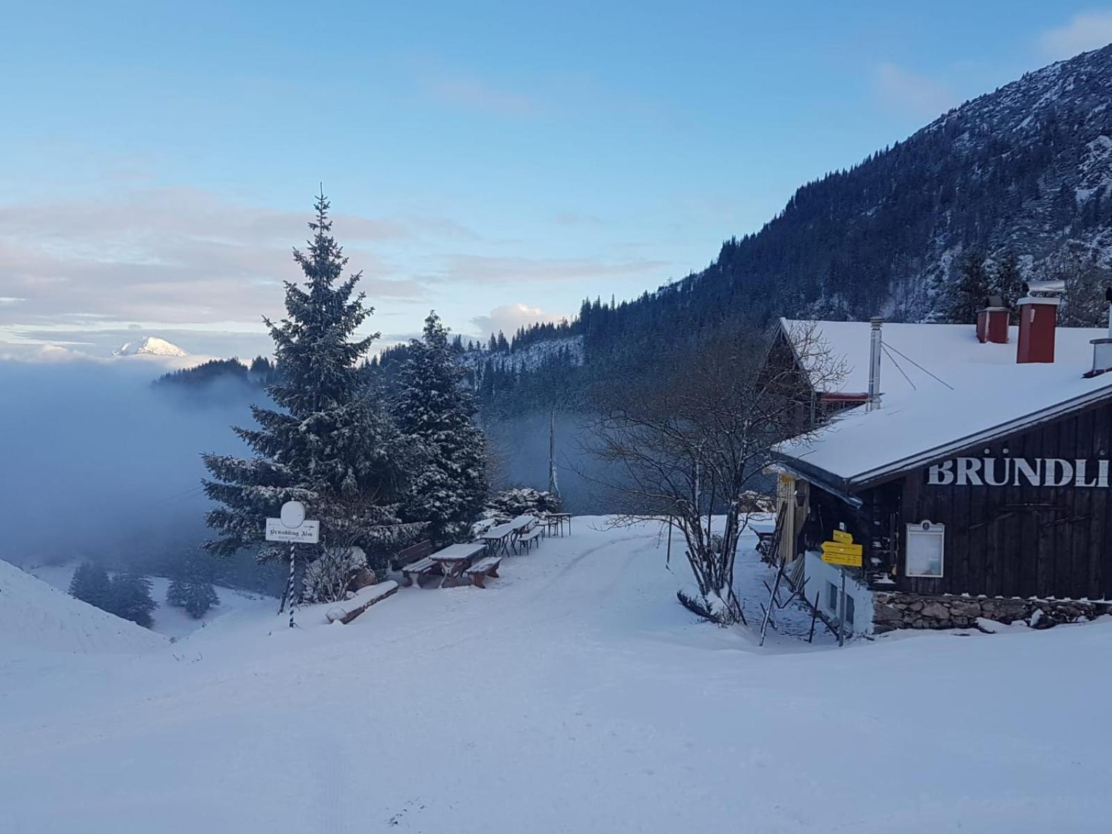 Отель Bruendling-Alm Berggasthof Auf 1167M Auf Dem Hochfelln Берген Экстерьер фото