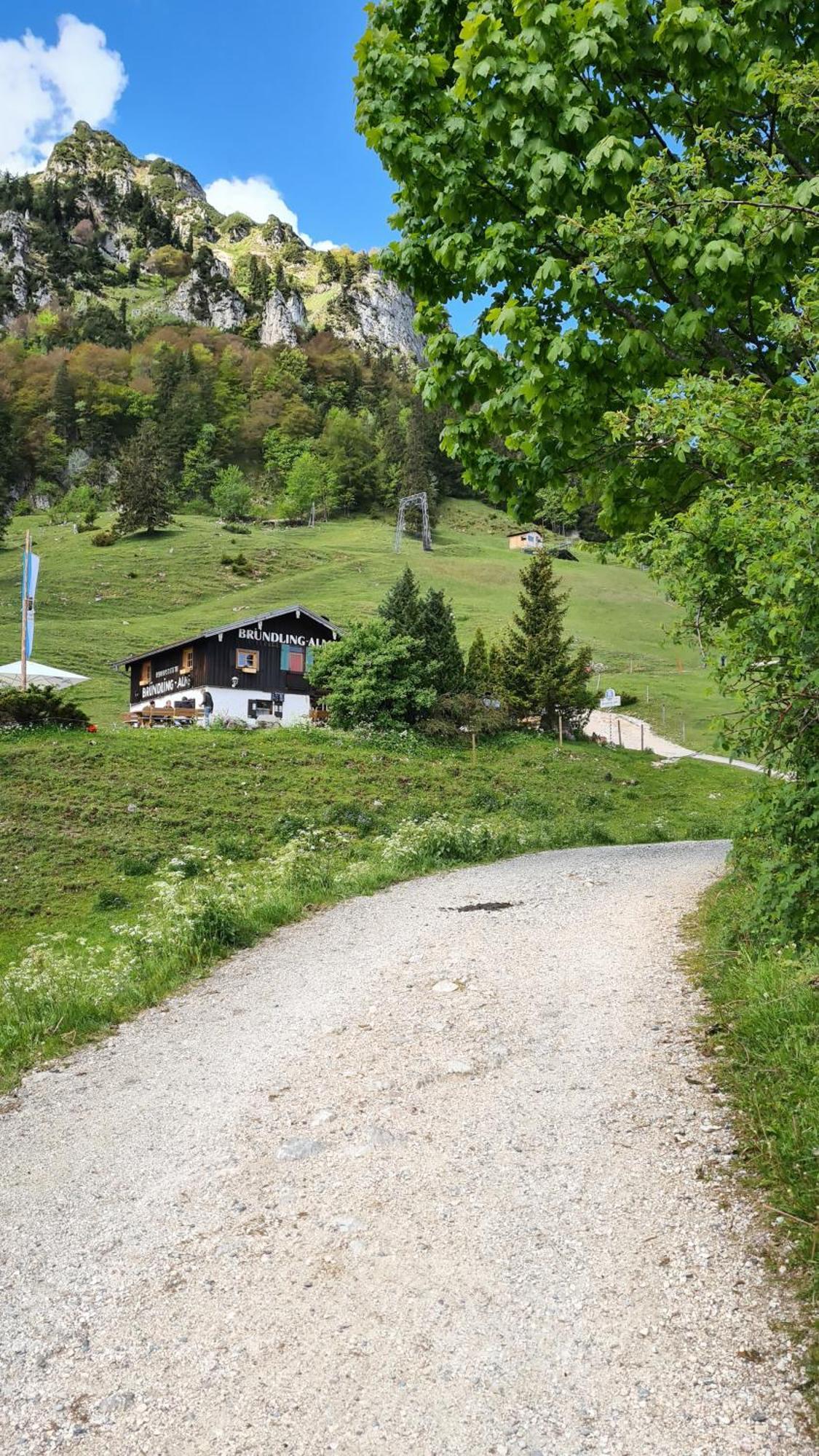 Отель Bruendling-Alm Berggasthof Auf 1167M Auf Dem Hochfelln Берген Экстерьер фото